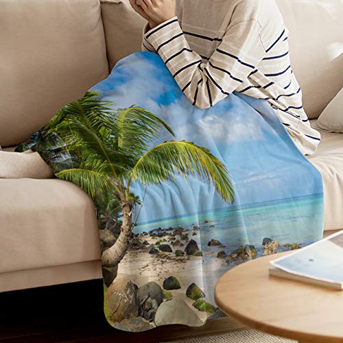 ANNAMALL Throw Blanket,40x60 Inch Palm Tree Beach Sea Cloud Blue Sky Island Reef Stone Microfiber Throw Blankets Warm Cozy Lightweight Blanket for Sofa,Bed,Camping,Picnic