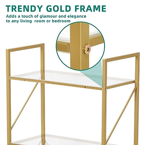 YITAHOME Acrylic Gold Bookshelf, 5 Tiers Modern Open Bookcase, Display Shelf Storage Rack for Bedroom, Living Room, Kitchen, Home Office, Gold&Acrylic