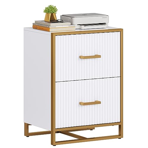YITAHOME 2 Drawer File Cabinet, Large Lateral Filing Cabinet for Home Office, White
