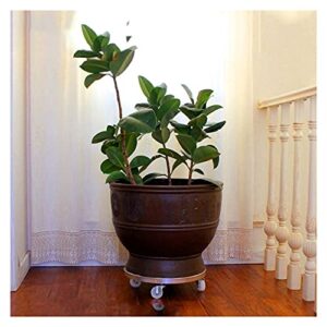 CLoxks Vase Bonsai Base Heavy Duty Plant Stand with Wheels, Round Plant Caddy On - Outdoor Flower Pot Rack On Rollers - Indoor Dolly Holder Rolling Bonsai Base (Size : Large)