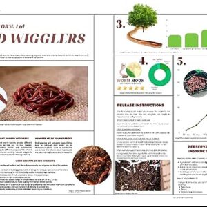 50+ Red Wigglers Composting Worms, Composting Bins