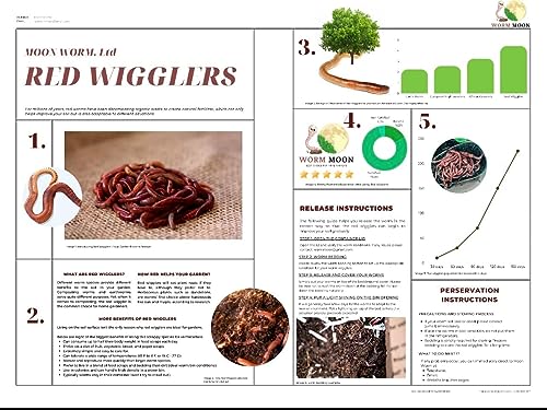 50+ Red Wigglers Composting Worms, Composting Bins