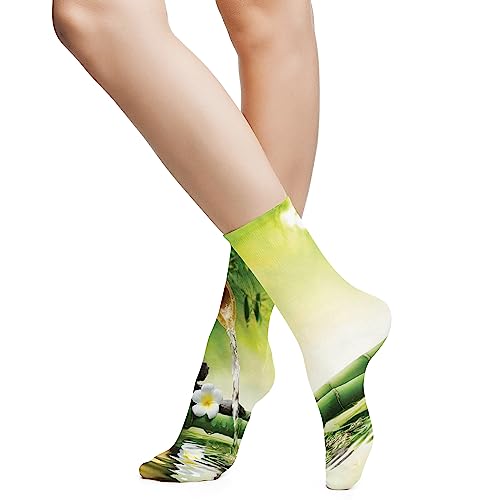 feprena Spa Funny Compression Socks Women and Men,Basalt Stones Theraphy Relaxing,Best for Circulation,Running,Athletic,Nurse,Travel,Multicolor, -12 inch