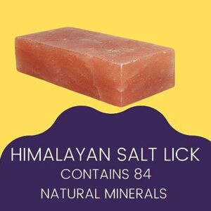 Himalayan Salt Lick 5.5 lbs | Pack of 2 | Salt Lick Deer | Licking Salt for Horses |Himalayan Licking Salt for Animals | Deer Salt Lick Block | Salt Block for Deer | Lick Brick.