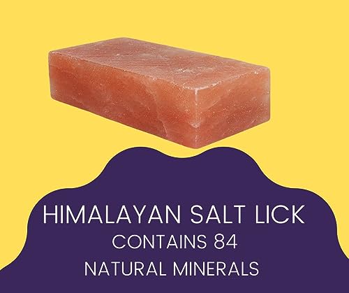 Himalayan Salt Lick 5.5 lbs | Pack of 2 | Salt Lick Deer | Licking Salt for Horses |Himalayan Licking Salt for Animals | Deer Salt Lick Block | Salt Block for Deer | Lick Brick.