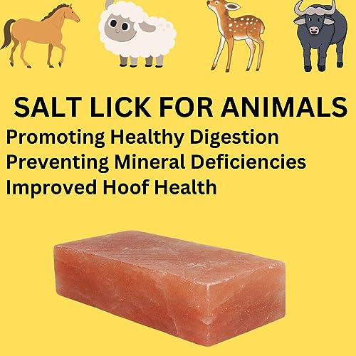 Himalayan Salt Lick 5.5 lbs | Pack of 2 | Salt Lick Deer | Licking Salt for Horses |Himalayan Licking Salt for Animals | Deer Salt Lick Block | Salt Block for Deer | Lick Brick.