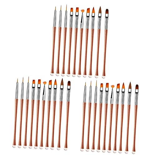 FRCOLOR 30 Pcs Nail Liner Brush Nail Art Tips Builder Nail Dotting Pen Nail Art Drawing Tools Nail Painting Tool Manicure Painting Pen rose gold suit Manicure Tool 3d Acrylic gel