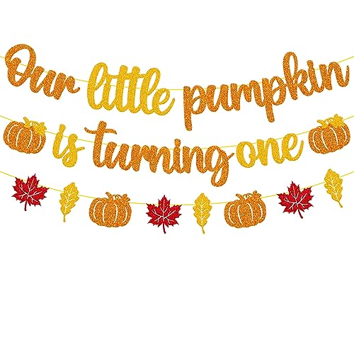 Our Little Pumpkin is turning One Banner 1st Birthday Banner Happy First Birthday Decoration Pumpkin 1s Bday Decor Fall Autumn Thanksgiving Party Event Backdrop Celebration Gold Glitter Supplies for Boys Girls Baby Shower 1st Birthday Party