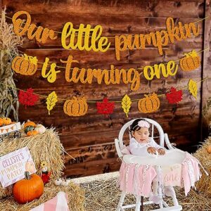 Our Little Pumpkin is turning One Banner 1st Birthday Banner Happy First Birthday Decoration Pumpkin 1s Bday Decor Fall Autumn Thanksgiving Party Event Backdrop Celebration Gold Glitter Supplies for Boys Girls Baby Shower 1st Birthday Party