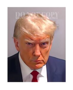 donald trump mugshot photograph 11 x 14 - magnificent 2023 mug shot portrait - historica atlanta, georgia arrest - indicted - usa - 45th president - america - rare photo - poster art print