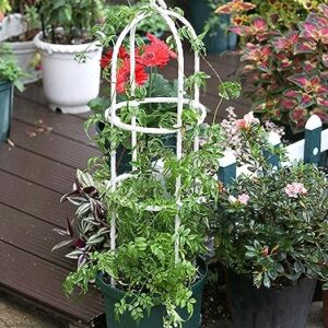 Climbing Vine Rack Rose Trellis Outdoor 120cm Home for Garden Balcony Durable Clematis Plants Plant Support Frame