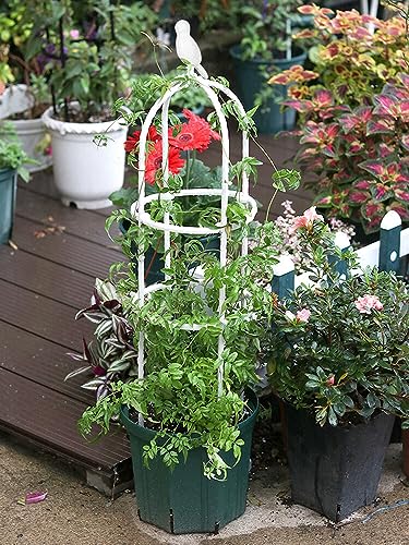 Climbing Vine Rack Rose Trellis Outdoor 120cm Home for Garden Balcony Durable Clematis Plants Plant Support Frame