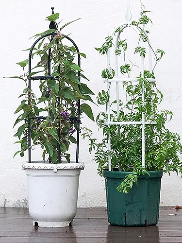 Plant Climbing Frame Natural U-Hoops Plants Stand Adjustable 20 X 60cm Stainless Steel White Black Garden Rose Trellis