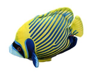 wild republic coral reef, emperor angelfish, stuffed animal, 6 inches, gift for kids, plush toy, fill is spun recycled water bottles
