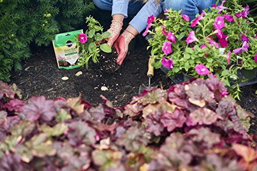 Miracle-Gro Quick Start Planting Tablets (Pack of 2)