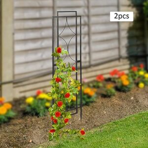 2 Pack Garden Trellis, for Climbing Plants Black Steel Potted Support Vines Metal Wire Plant Trellis for Climbing Vegetables Flower Patio Roses Cucumbers