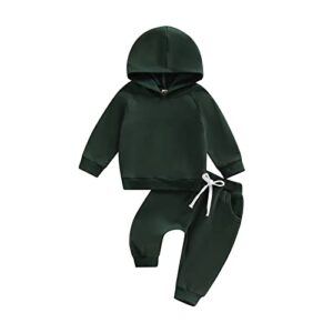 ledy champswiin baby boy girl sweatsuits sportswear toddler kids solid color outfit hoodie sweatshirt tops & pants clothes (a1 olive green, 12-18 months)