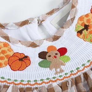 Lil cactus Light Brown Gingham Pumpkin Turkey Smocked Bishop Dress, Brown Turkey, 3-6 Months