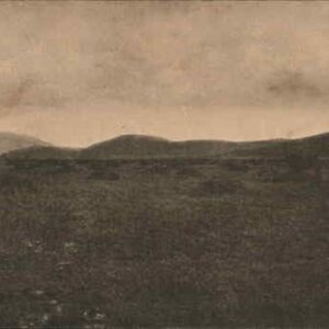 View shows an irrigated alfalfa ranch. Water being pumped. El Cajon Valley CA Original Antique Postcard