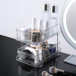 Frogued Multi-functional Storage Rack 2 Tier Clear Plastic Heavy Duty Large Capacity Bathroom Kitchen Countertop Under Sink Sliding