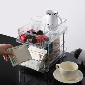 Frogued Multi-functional Storage Rack 2 Tier Clear Plastic Heavy Duty Large Capacity Bathroom Kitchen Countertop Under Sink Sliding