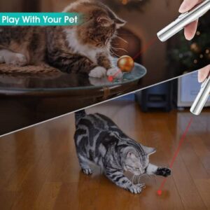 LOZZBY Cat and Dog Toys 2PCS Red Light Interactive Toy for Indoor Kitten Tease AAA Battery Carabiner