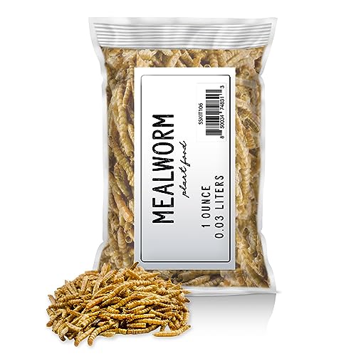 Carnivorous Plant Food Dried Mealworms (1oz), for Feeding Carnivorous Plants (Venus Fly Trap, Pitcher Plant, Sundews, Etc.)