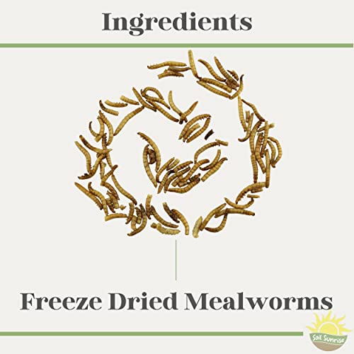 Carnivorous Plant Food Dried Mealworms (1oz), for Feeding Carnivorous Plants (Venus Fly Trap, Pitcher Plant, Sundews, Etc.)