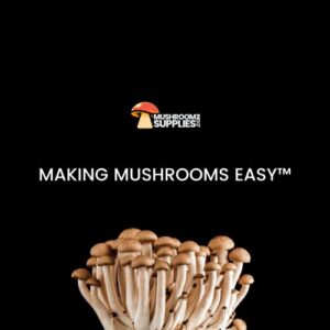 MushroomSupplies.com Mushroom Substrate| Premium Manure, Vermiculite, Coco Coir & Gypsum | 0.2 Micron Filter Grow Bag | Mycologist Developed Kits