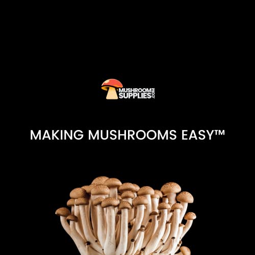 MushroomSupplies.com Mushroom Substrate| Premium Manure, Vermiculite, Coco Coir & Gypsum | 0.2 Micron Filter Grow Bag | Mycologist Developed Kits