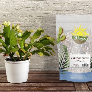 Christmas Cactus Potting Soil Mix (8 Quarts), Hand Blended Soil for Indoor Houseplants Custom Blended