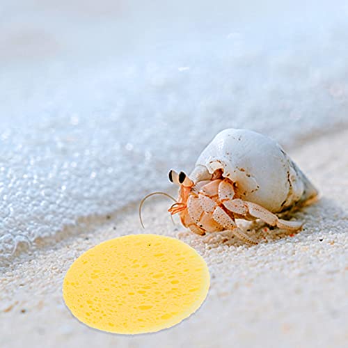 POPETPOP Saddle Evergreen Pet Supplies 25Pcs Round Hermit Crab Sponges Portable Water Dish Crab Sponge Crab Tank Humidity Supplies for Pet Hermit (Yellow) 60x80CM Sea Sponge Crab