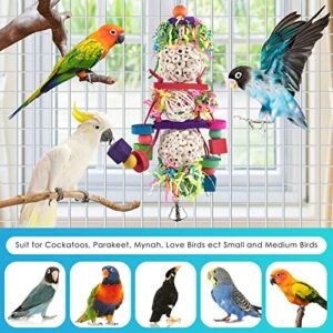 Bissap Conure Toys, Bird Parrot Foraging Shredder Hanging Toys Sola Balls Sepak Takraw with Bell for Small Parrots Parakeets Conures Cockatiels Love Birds Cage Toy