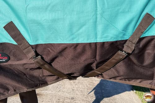 HILASON 1200D Turnout Light Winter Waterproof Rain Sheet Horse Sheet | Horse Sheet | Horse Turnout Sheet | Horse Sheets for Winter | Waterproof Turnout Sheets for Horses