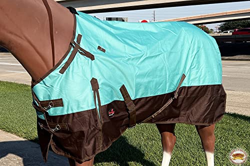 HILASON 1200D Turnout Light Winter Waterproof Rain Sheet Horse Sheet | Horse Sheet | Horse Turnout Sheet | Horse Sheets for Winter | Waterproof Turnout Sheets for Horses