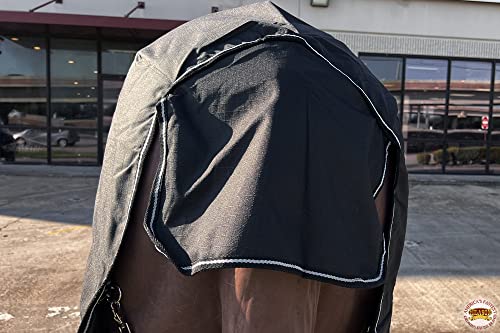 HILASON 1200D Turnout Light Winter Waterproof Rain Sheet Horse Sheet Black | Horse Sheet | Horse Turnout Sheet | Horse Sheets for Winter | Waterproof Turnout Sheets for Horses