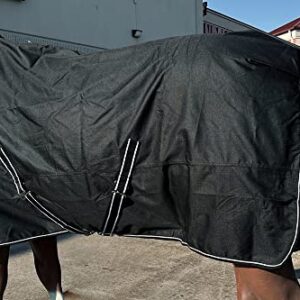 HILASON 1200D Turnout Light Winter Waterproof Rain Sheet Horse Sheet Black | Horse Sheet | Horse Turnout Sheet | Horse Sheets for Winter | Waterproof Turnout Sheets for Horses