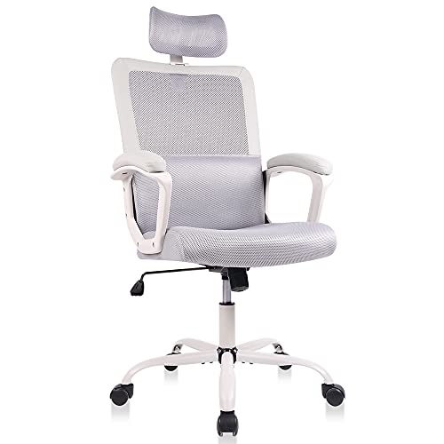 Office Chair, Ergonomic Mesh Computer Desk Chair, High Back Swivel Task Executive Chair Padding Armrests with Adjustable Rotatable Headrest Lumbar Support (Light Gray, No Hanger)