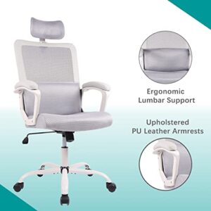 Office Chair, Ergonomic Mesh Computer Desk Chair, High Back Swivel Task Executive Chair Padding Armrests with Adjustable Rotatable Headrest Lumbar Support (Light Gray, No Hanger)