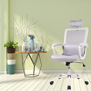 Office Chair, Ergonomic Mesh Computer Desk Chair, High Back Swivel Task Executive Chair Padding Armrests with Adjustable Rotatable Headrest Lumbar Support (Light Gray, No Hanger)