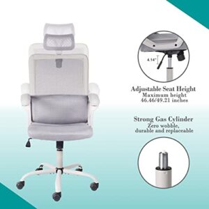 Office Chair, Ergonomic Mesh Computer Desk Chair, High Back Swivel Task Executive Chair Padding Armrests with Adjustable Rotatable Headrest Lumbar Support (Light Gray, No Hanger)