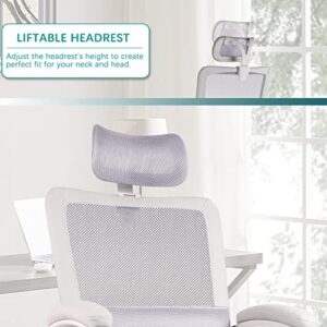 Office Chair, Ergonomic Mesh Computer Desk Chair, High Back Swivel Task Executive Chair Padding Armrests with Adjustable Rotatable Headrest Lumbar Support (Light Gray, No Hanger)