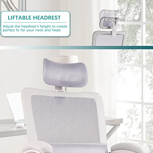 Office Chair, Ergonomic Mesh Computer Desk Chair, High Back Swivel Task Executive Chair Padding Armrests with Adjustable Rotatable Headrest Lumbar Support (Light Gray, No Hanger)