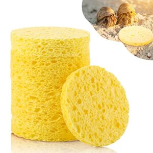 12 Pieces Hermit Crab Sponges Pet Crab Sea Sponges Unbleached Hermit Crab Supplies Sponge Provide Nutrients Crab Sponges Hermit Crab Accessories for Maintaining Hermit Crab Tank Humidity Supplies