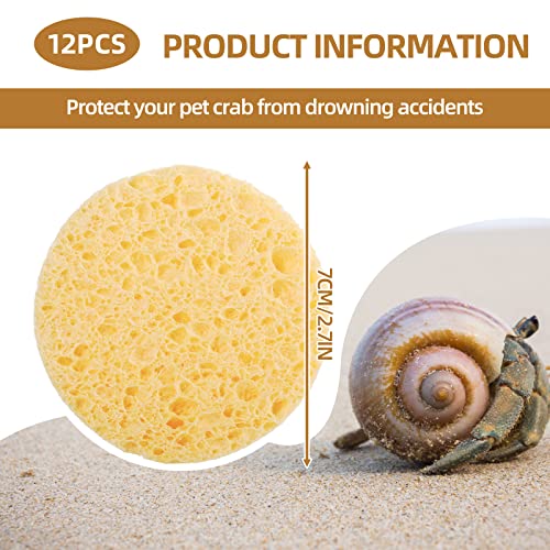 12 Pieces Hermit Crab Sponges Pet Crab Sea Sponges Unbleached Hermit Crab Supplies Sponge Provide Nutrients Crab Sponges Hermit Crab Accessories for Maintaining Hermit Crab Tank Humidity Supplies