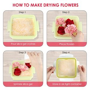 Durimoiy 4 LBS Silica Sand Flower Drying Reusable Silica Gel Flower Drying Crystals for Drying Flowers, Flower Preservation, Easy to Use with Color Indicating