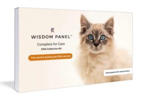 wisdom panel complete: comprehensive cat dna test kit for 45 health genetic health conditions, 70+ breeds and populations, 25+ traits, blood type - 1 pack