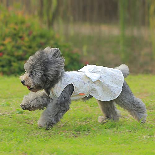 Philo Peri Shining Floral Dog Dress with Lace Elegent Dog Outfit for Party Wedding Birthday Puppy Apparel Bowknot Cat Dress (XS)