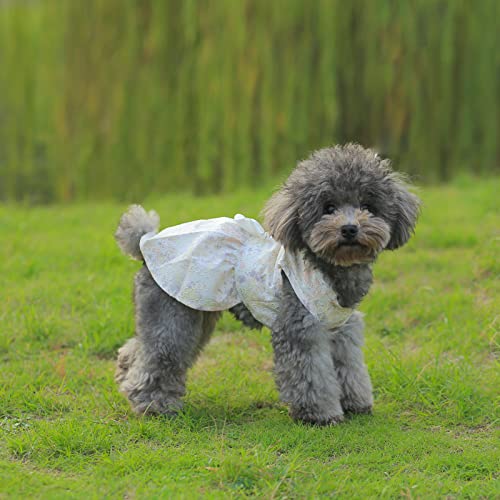 Philo Peri Shining Floral Dog Dress with Lace Elegent Dog Outfit for Party Wedding Birthday Puppy Apparel Bowknot Cat Dress (XS)