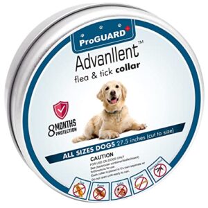 Advanllent Flea Collar for Dogs, 8 Month Flea and Tick Prevention for Dogs, 27 Inch Adjustable